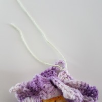 flor-caracol-bicuda-72