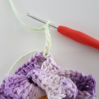 flor-caracol-bicuda-73