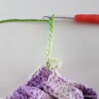 flor-caracol-bicuda-74