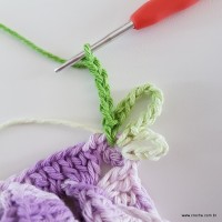 flor-caracol-bicuda-75