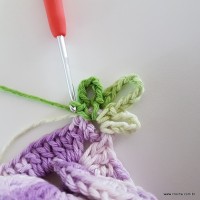 flor-caracol-bicuda-76