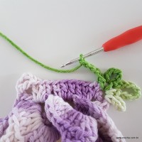 flor-caracol-bicuda-77