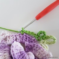 flor-caracol-bicuda-78