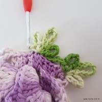 flor-caracol-bicuda-79