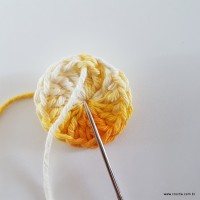 flor-caracol-bicuda-8