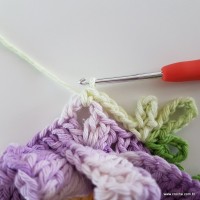 flor-caracol-bicuda-80