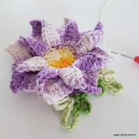 flor-caracol-bicuda-81