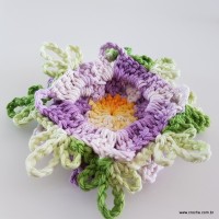 flor-caracol-bicuda-82