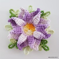 flor-caracol-bicuda-84