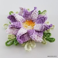 flor-caracol-bicuda-85