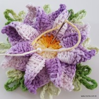 flor-caracol-bicuda-87