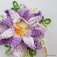 flor-caracol-bicuda-88