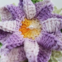 flor-caracol-bicuda-89