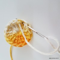 flor-caracol-bicuda-9