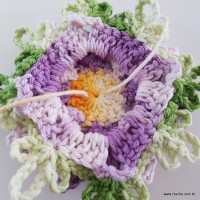 flor-caracol-bicuda-90