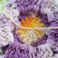 flor-caracol-bicuda-91