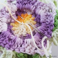 flor-caracol-bicuda-92