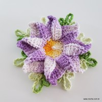 flor-caracol-bicuda-93