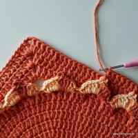 tapete-dual-com-flor-caracol-bicuda-268