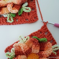 tapete-dual-com-flor-caracol-bicuda-43