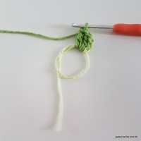 flor-da-serra-passo-a-passo-11