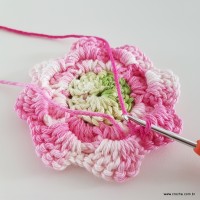 flor-da-serra-passo-a-passo-128