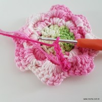 flor-da-serra-passo-a-passo-129