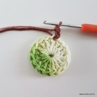 flor-da-serra-passo-a-passo-13