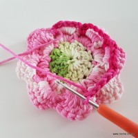 flor-da-serra-passo-a-passo-133