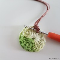 flor-da-serra-passo-a-passo-14