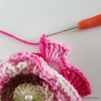 flor-da-serra-passo-a-passo-144