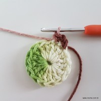 flor-da-serra-passo-a-passo-15