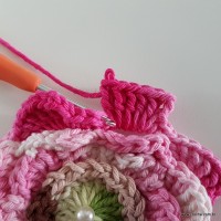 flor-da-serra-passo-a-passo-151