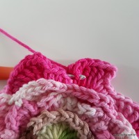 flor-da-serra-passo-a-passo-152