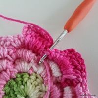 flor-da-serra-passo-a-passo-154