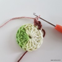 flor-da-serra-passo-a-passo-16