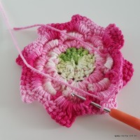 flor-da-serra-passo-a-passo-161