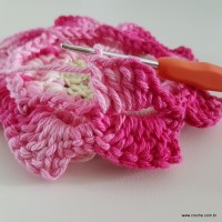 flor-da-serra-passo-a-passo-170