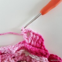 flor-da-serra-passo-a-passo-172