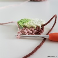 flor-da-serra-passo-a-passo-18