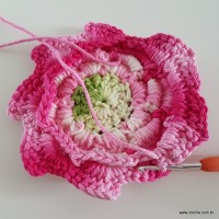 flor-da-serra-passo-a-passo-187