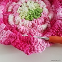 flor-da-serra-passo-a-passo-205