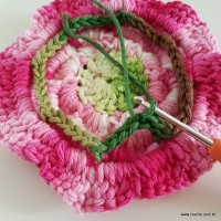 flor-da-serra-passo-a-passo-214