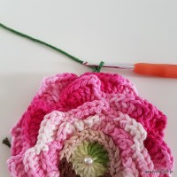 flor-da-serra-passo-a-passo-216