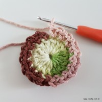 flor-da-serra-passo-a-passo-22