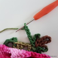 flor-da-serra-passo-a-passo-250