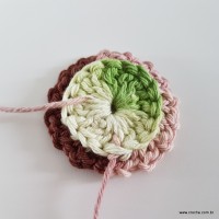 flor-da-serra-passo-a-passo-31