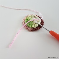 flor-da-serra-passo-a-passo-36