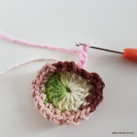 flor-da-serra-passo-a-passo-39