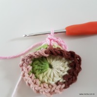 flor-da-serra-passo-a-passo-40